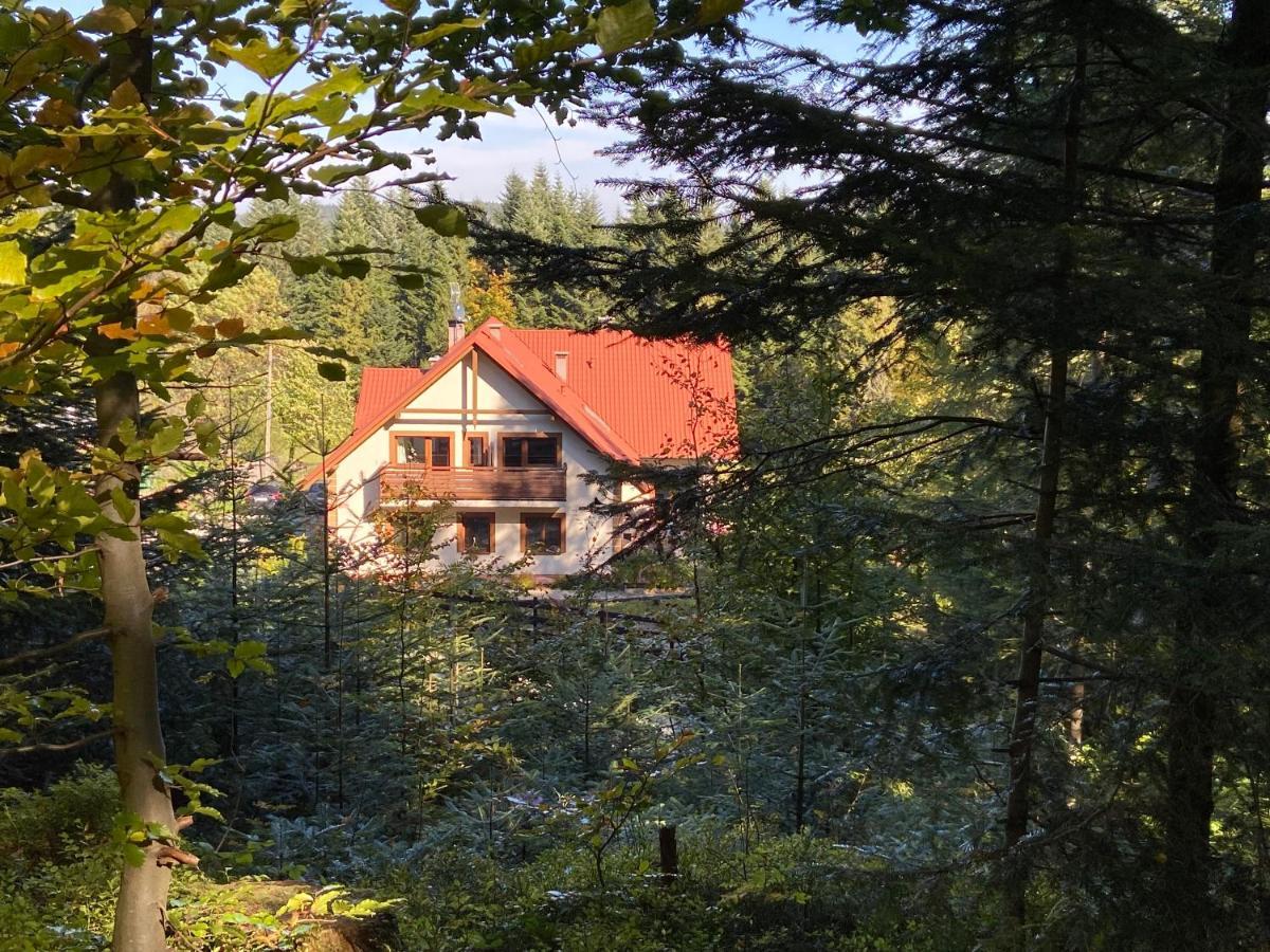 Agroturystyka Sarni Stok Krynica-Zdrój Extérieur photo