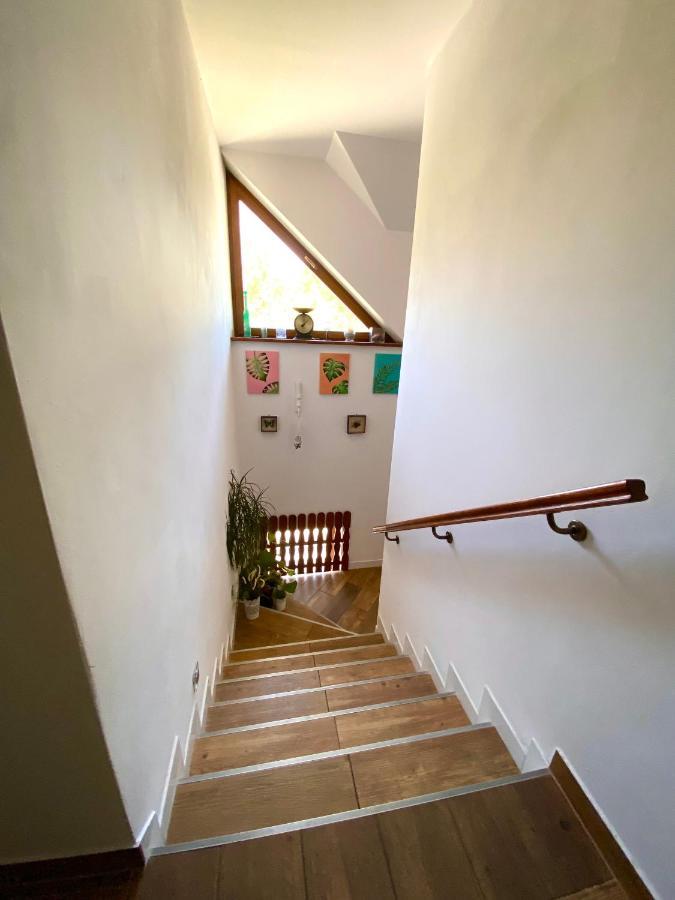 Agroturystyka Sarni Stok Krynica-Zdrój Extérieur photo