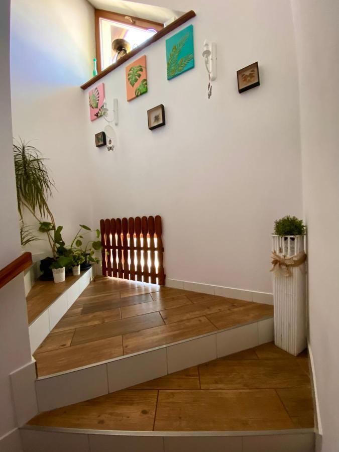 Agroturystyka Sarni Stok Krynica-Zdrój Extérieur photo