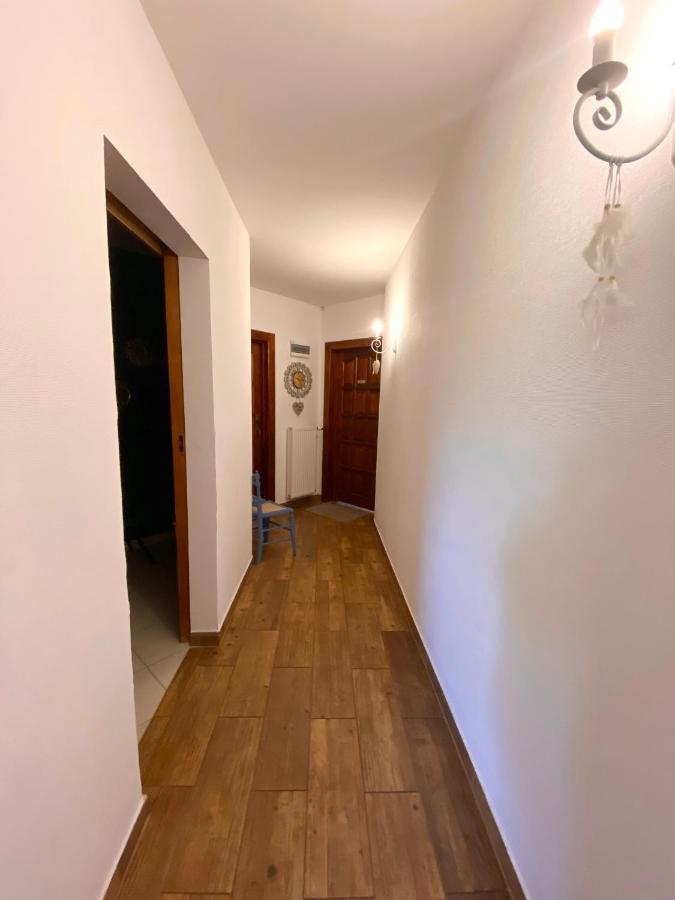 Agroturystyka Sarni Stok Krynica-Zdrój Extérieur photo